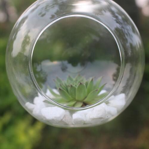Transparent Glass Vase for Home Garden Decor Vase Round Hanging Clear Glass 10cm Terrarium Decor Planter Container