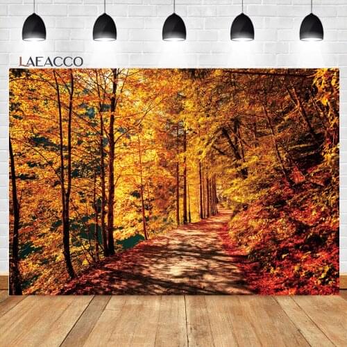 Laeacco Autumn Golden Leaves Outdoor Park Trail Real Scene Photocall Backgrounds Baby Child Poster Portrait Photography Backdrop