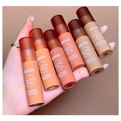 New matte lip gloss nude lip makeup cosmetic long lasting waterproof sexy red rose pumpkin brown liquid lipstick AC400