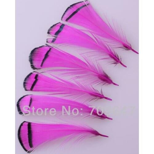 100Pcs/Lot!6-8CM Rose/Hot Pink Colour Lady Amherst Pheasant PLUMAGE Feathers, Pheasant Feathers,feathers for crafts