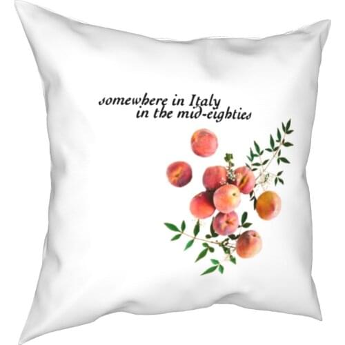 Call Me By Your Name Peach Square Pillowcases Couch CMBYN LGBT Cushion Cover Cool Decorative Pillowcase 40*40cm