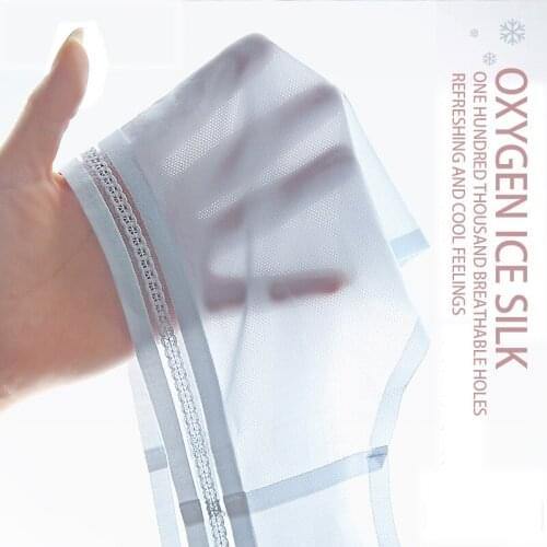Breathable Seamless Sexy Transparent Women Briefs Mesh Erotic Cool Summer Ice Silk Underwear Lingerie Ultra-thin Sensual Female