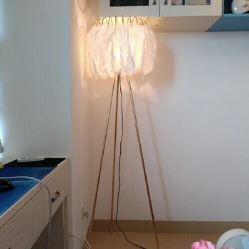 Modern Nordic American Feather lamp E27 LED floor lamp floor light for living room bedside study room hotel