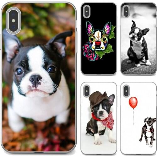 For Samsung Galaxy S7 S8 S9 S10E S20 FE Note 10 20 Edge Lite Plus Ultra Silicone Phone Shell Case boston-terrier-pet-dog-puppies