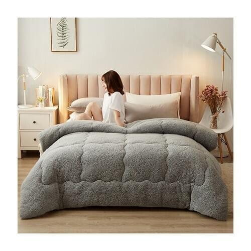 2021 Super Warm for Child Lamb Quilt Double-sided Velvet Quilt Thicken Warm Autumn Plush Comforter 5Kg Weight Cute Style Blanket