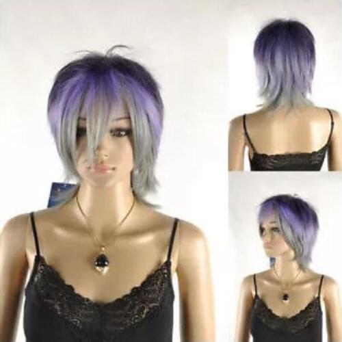 Shun shun Unisex Purple Grey Mixed Short Straight Full Cosplay Role Play Japanese Wig Ladies Heat Resistant Synthetic hair Wigs