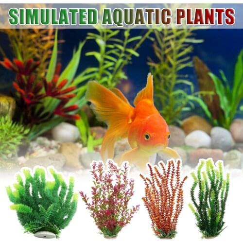 TENSKE Equipment For Aquariums