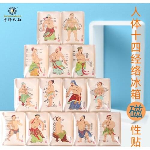 Fridge Magnetic Stickers Fourteen Meridians Diagram 4.5x6.7cm