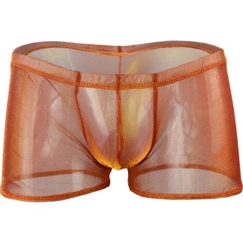 Gradient Colors Mens Sexy Underwear Fine Mesh Male Boxers Shorts Transparent Underpants Funny