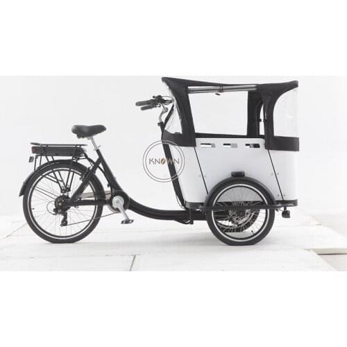 Multifunction Electric Cargo Bike Mobile Tricycle for Carry Children Hotel Passenger Trike