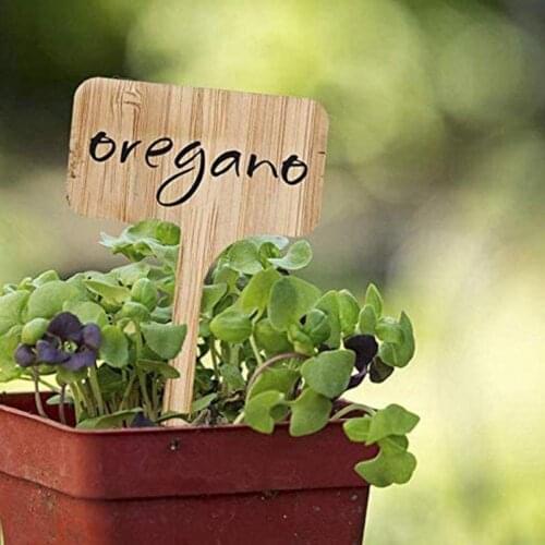 10Pcs Plant Labels Decorative Stable Wear-resisting Wooden Garden Labels Plant Insert Decorations for Home