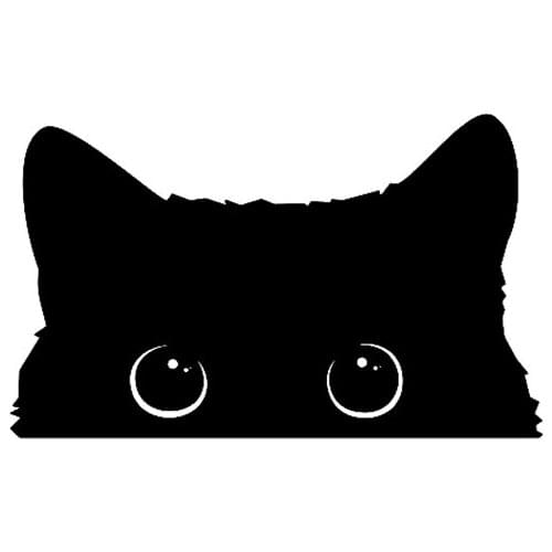 1 piece Hot Car Sticker Accessories Poor Cat Is Stealing with Big Eyes Watch Vinyl Car Styling Cover Waterproof PVC 15cm X 9cm