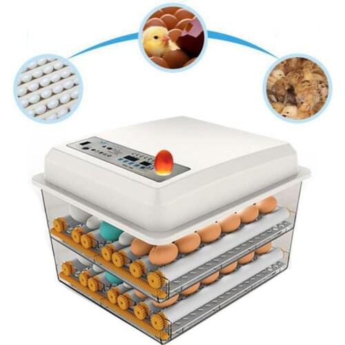 Incubator automatic small household water bed egg incubator peacock duck goose household egg incubator
