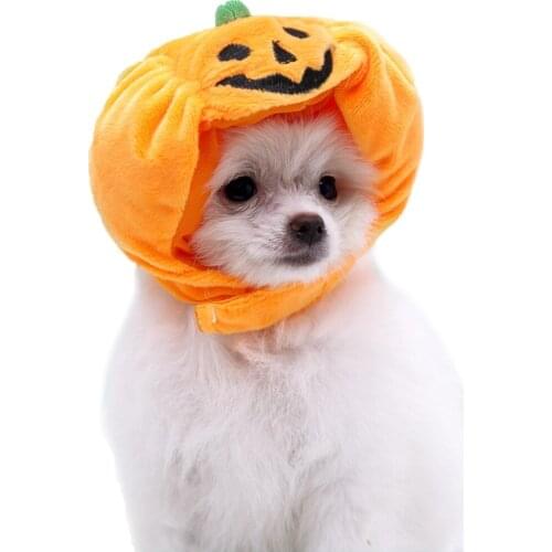 Legendog Pet Halloween Pumpkin Hat Lovely Cat Dogs Ghost Festival Decoration Small Medium And Large Dog Teddy Headwear Supplies