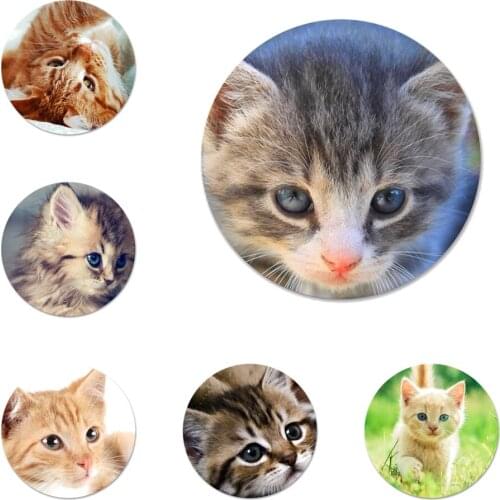 Funny cat kiss fish Badge Brooch Pin Accessories For Clothes Backpack Decoration gift