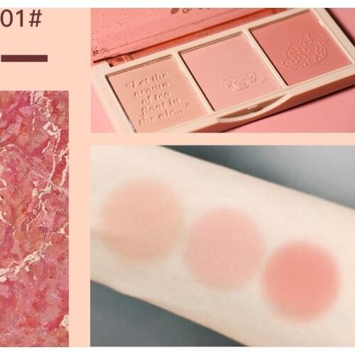 Face Blusher Powder Palette Pink Delicate Natural Vitality Girl Three-color Repair Blush Eyeshadow Contour Palette makeup TSLM1