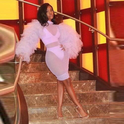 Sexy Sheer Tulle Dresses For Party Women Plus Size Long Sleeves Extra Puffy Tulle Dress Cocktail See Through Tulle Dress