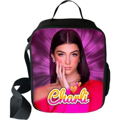Charli D'Amelio Cooler Lunch Bag Cartoon Girls Portable Thermal Food Picnic Bags for School Kids Boys Box Tote