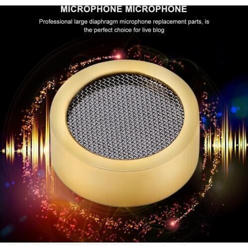 25 mm Microphone Large Diaphragm Cartridge Core Capsule Aluminum Alloy Condenser Capsule Replacement For Studio Recording Mic