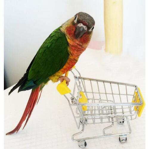 Repujado Pet Supplies