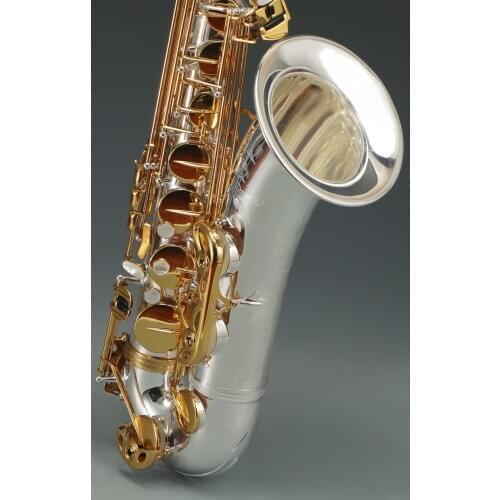 Aisiweier JTS-1100SG Brand Bb Tenor Saxophone Brass Silver Plated Body Gold Lacquer Key B Flat Sax Instrument With Canvas Case