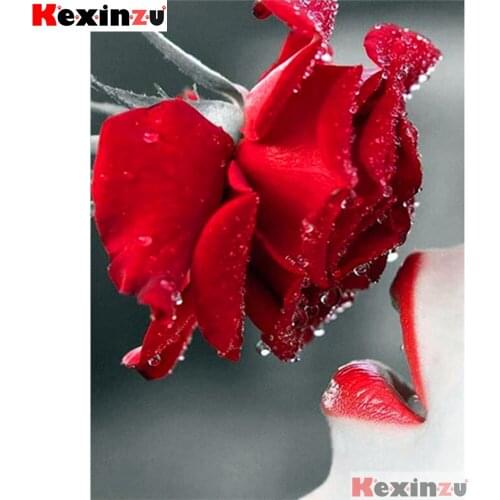 Full Square/Round 5d Diamond Painting-Red lips rose-3d Embroidery Cross Stitch Mosaic Full Picture Of Rhinestone Decor Y6466