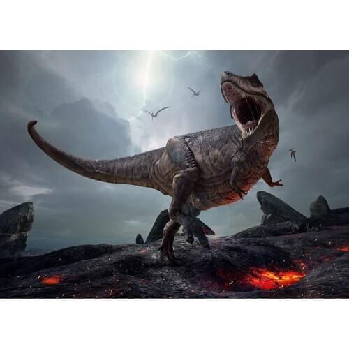 Jurassic Dinosaur Children Party Photography Backdrops For Photo Studio Vinyl Photo Background Custom Baby Portrait Photobooth