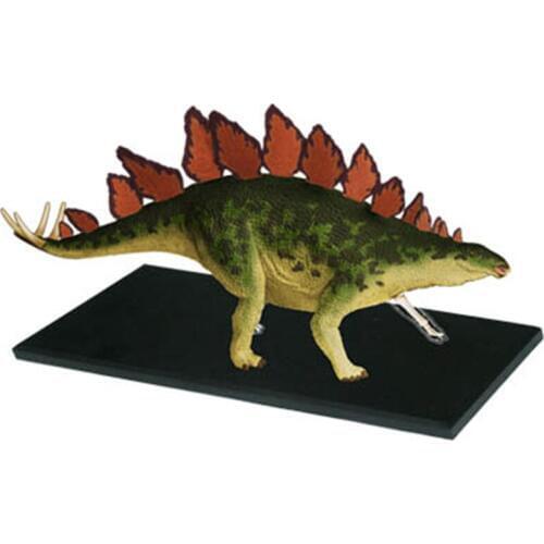 4D Stegosaurus Intelligence Assembling Toy Animal Organ Anatomy Model Medical Teaching DIY Popular Science Appliances