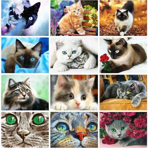 CraftArtGo 5D DIY Diamond Embroidery Cute kitten Full Round Square Rhinestone Mosaic Painting Cross Stitch Flowers Diamond Kit