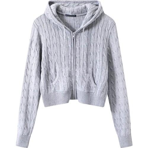 Slim Girls Soft Short Hoodies 2020 Autumn Fashion Ladies Streetwear Hoodie Casual Women Cute Outfits Sweet