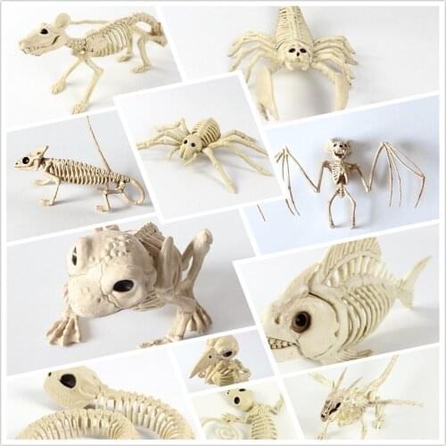 Halloween Horror Decorations Scorpions Bats Frog Snake Mice Spiders Animal Skull Skeletons Model Party Decor Ornaments Gift