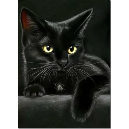 Animal black cat diamond painting,full,square,round diamond embroidery mosaic art diy handwork cute pet puzzle diamant, EE1556