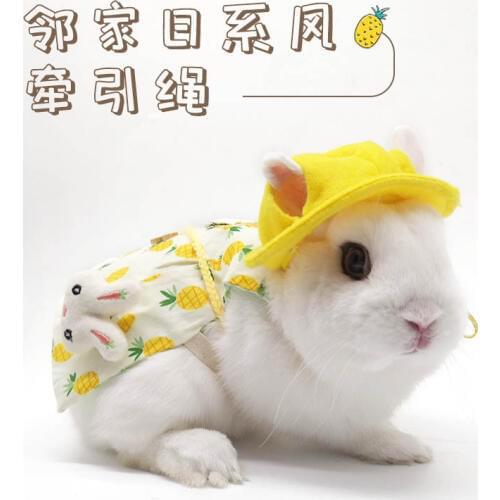 Pet Bunny Clothes Traction Rope Bunny Kitten Lop Eared Rabbit Ornaments Clothing