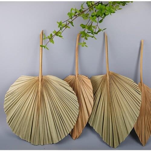 Hot sale 1pcs Palm Fan Leaf Dried Flower Palm Leaf Window Reception Party Art Wall Hanging Decoration Wedding Arch Arrangement