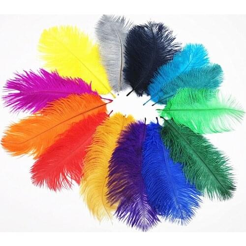 10Pcs/lot natural dyed Ostrich Feathers plumes DIY feathers for jewelry making Wedding decoration needlework craft pluma 15-20CM