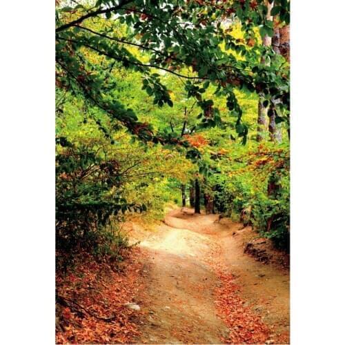 Country Trail Backdrop Autumn Forest Photography Background Newborn Baby Shower Birthday Bride Wedding Photo Shooting Props