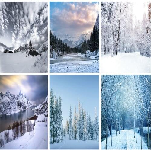 Vinyl Custom Photography Backdrops Prop Snow scene Photography Background 2021112XJ-01