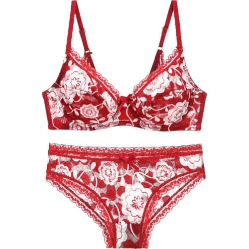 Women Bra and Briefs Set Lace Sexy Push-up Bra French Style Thin painting Printing Lace Brassiere Beauty Back Bralette