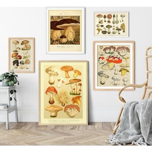 Botanical Educational Poster Mushrooms Champignons Identification Reference Chart Diagram Illustration Wall Art Canvas Painting