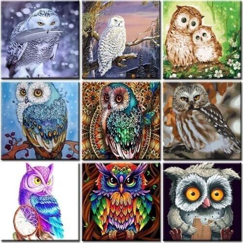 Oil Painting By Numbers Animal Coloring Owl Modern Wall Art Picture Acrylic Kit Diy Paint By Number For Adult HandPainted Decor
