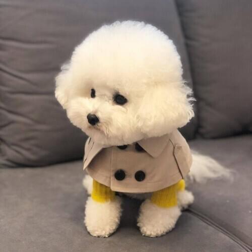 New Dog Cloak Puppy Pinafore Cute Doggie Burp Cloth Small Little Pet Windbreaker Bib Trench For Teddy Bichon Corgi