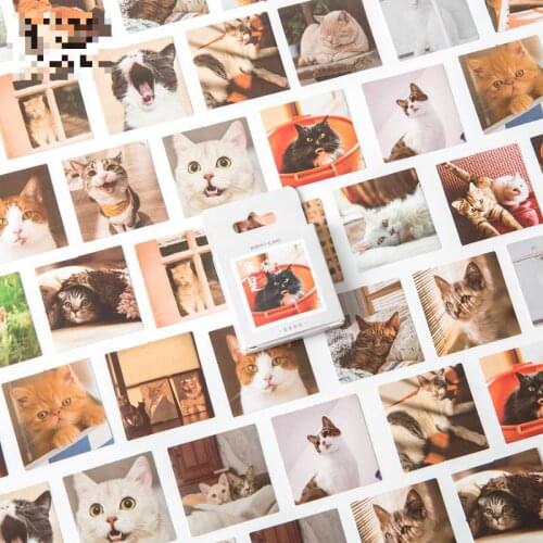 46sheets/set Sticker Set Kitten Series Diy Cute Stickers Ins Style Scrapbooking School Suppliers Stationery Art Supplies