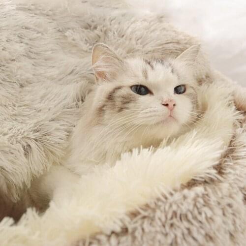 New Shell Cat Litter Sleeping Bag, Pet Supplies, Dog Cotton Litter, Yurt, Warm And Comfortable, Durable And Good Quality