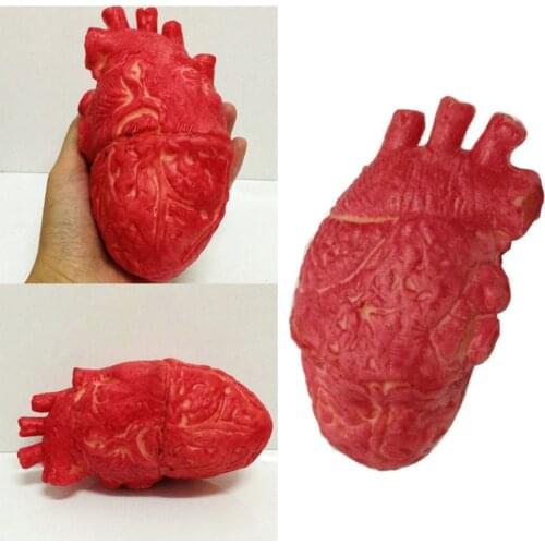 1PC Halloween Horrible Bloody Severed Horror Scary Human Heart Lifesize Scary Fake Rubber Gory Body Part Halloween Decorations