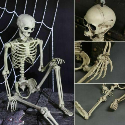 Plastic New Year Halloween Decoration Lifelike Human Bones Skeleton Horror Halloween Christmas animal Crow Skeleton Decoration