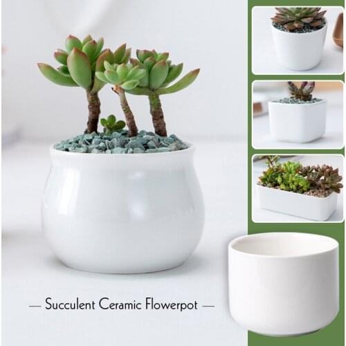 Simple Mini White Creative Garden Mini Succulent Ceramic Round Potted Flowerpot Green Plant Pot Home Office Desktop Bonsai