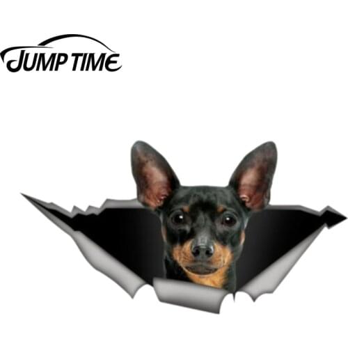 Jump Time 13cm x 6.9cm Pincher car decal 3D Pet Graphic Vinyl Decal Car Window Laptop Bumper Animal Car Stickers