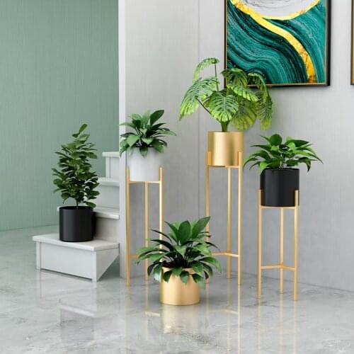 Iron Flower Stand Home Living Room Creative Green Dill Nordic Flower Shelf Floor Ins Modern Simple Golden Flower Pot Stand