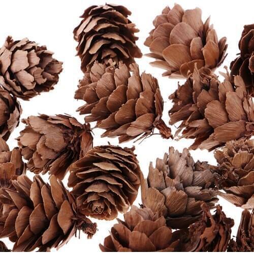 40x Natural Dried Flowers Acorns Pine Cones for Accents Decoration Ornaments