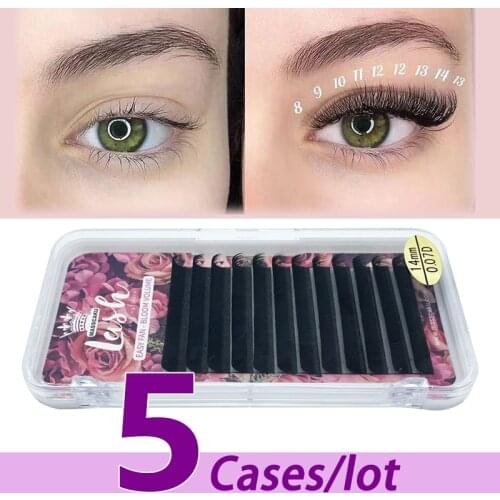 5pcs/lot Supplier Wholesale 2d-6d Magnetic Camellia Lashes 1s Blooming Eyelash Extensions Top Grade Pointy and Custom Logo